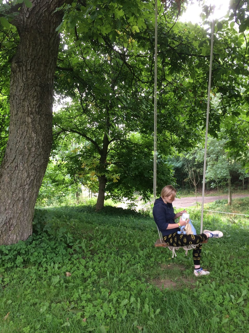 The swing in the walnut grove