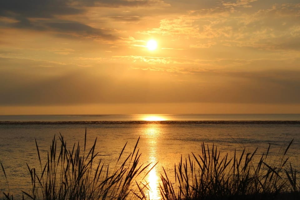 Heacham Beach, Norfolk
Cedar Springs Log Cabins and Lodges
Heacham, Norfolk