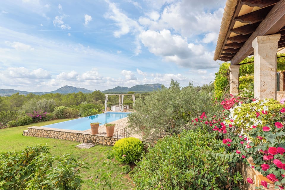 Garden & swimming pool