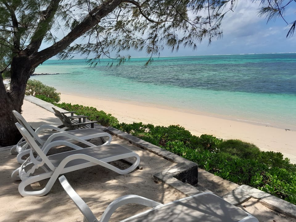 Sunbeds available on the beachside