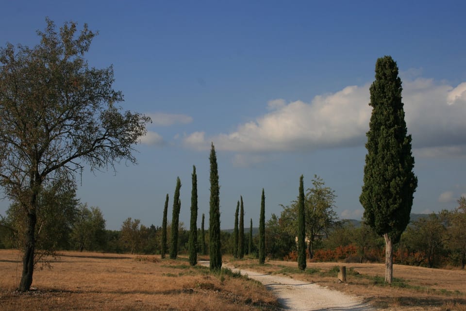 Approach