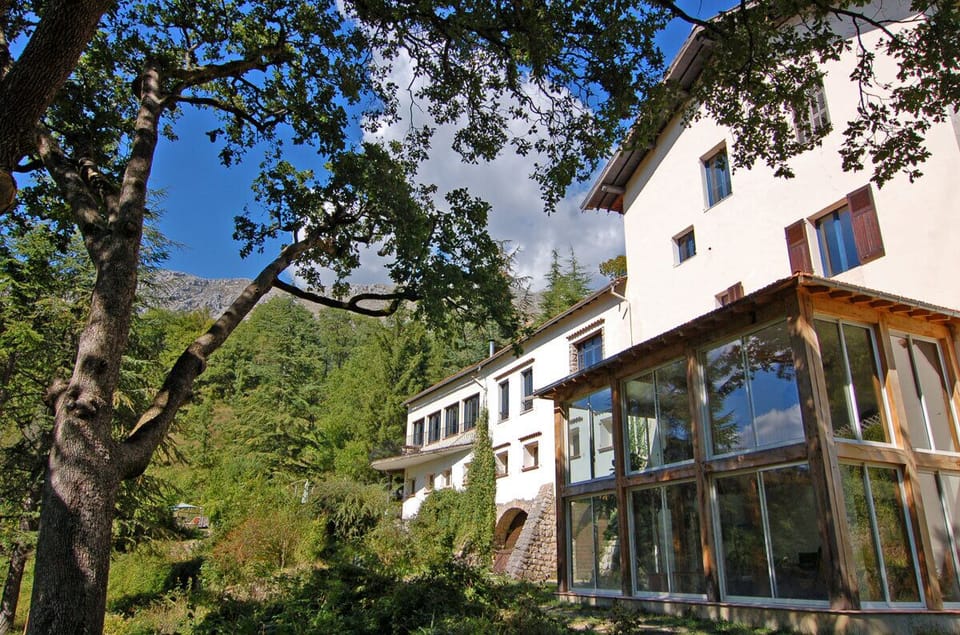The double height conservatory is shaded by 300 year old oaks