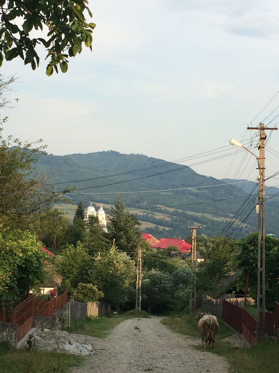 Village Evening Life in front of our gate.