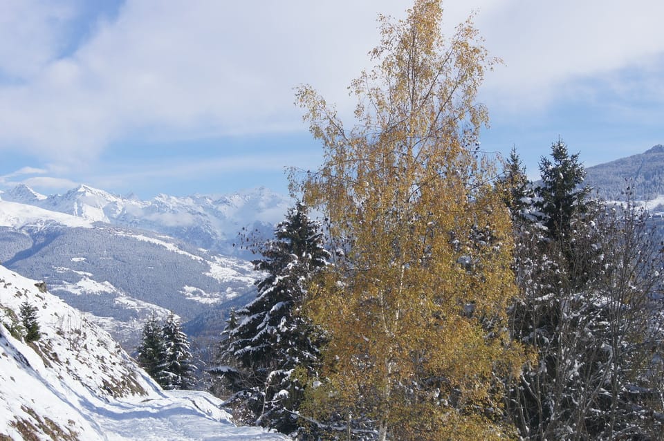 Snow and ski sports