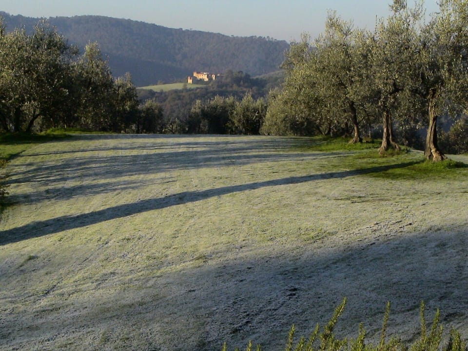 View from front house