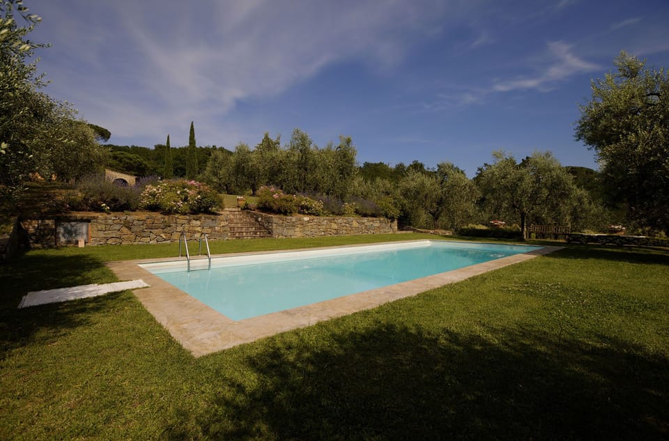 Swimming pool view towards house