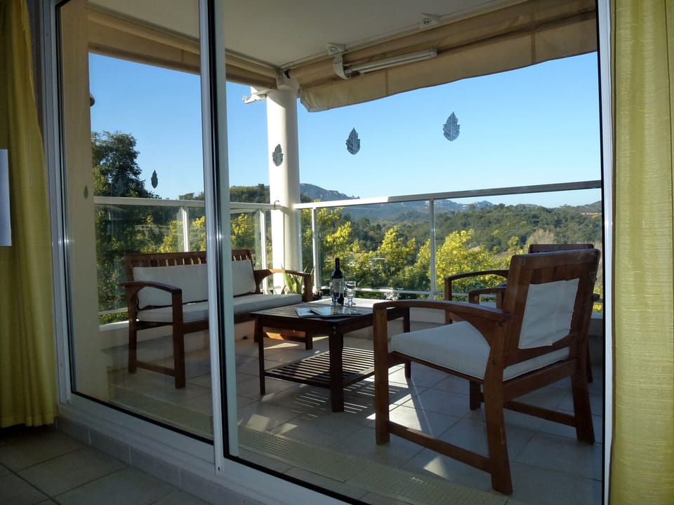 Living room view to terrace in spring during Mimosa time
