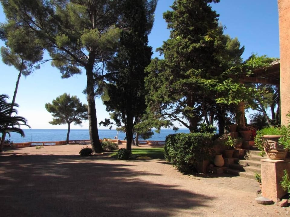 Garden, Park