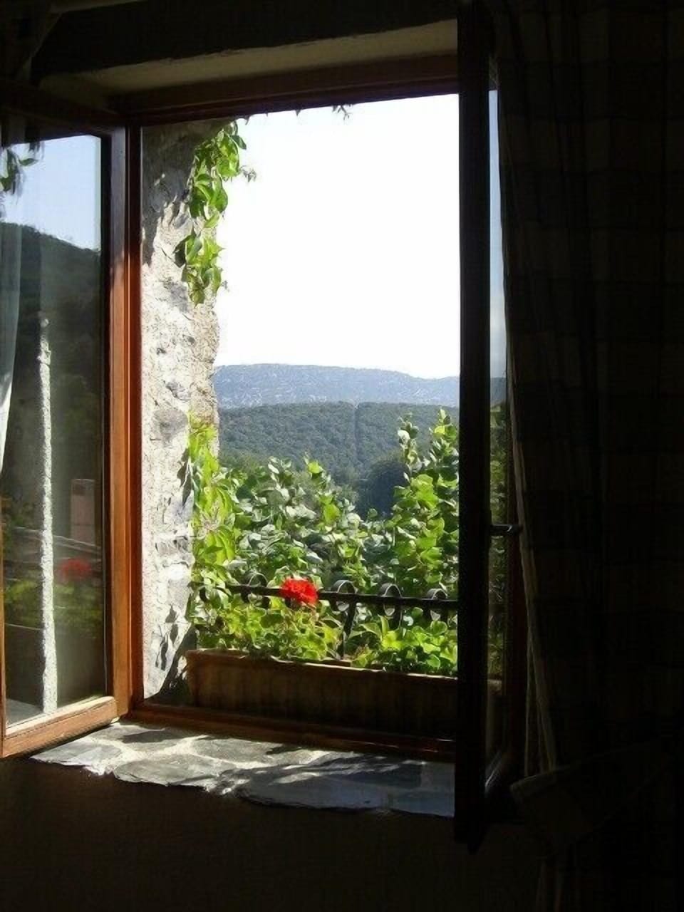 View from living room window
