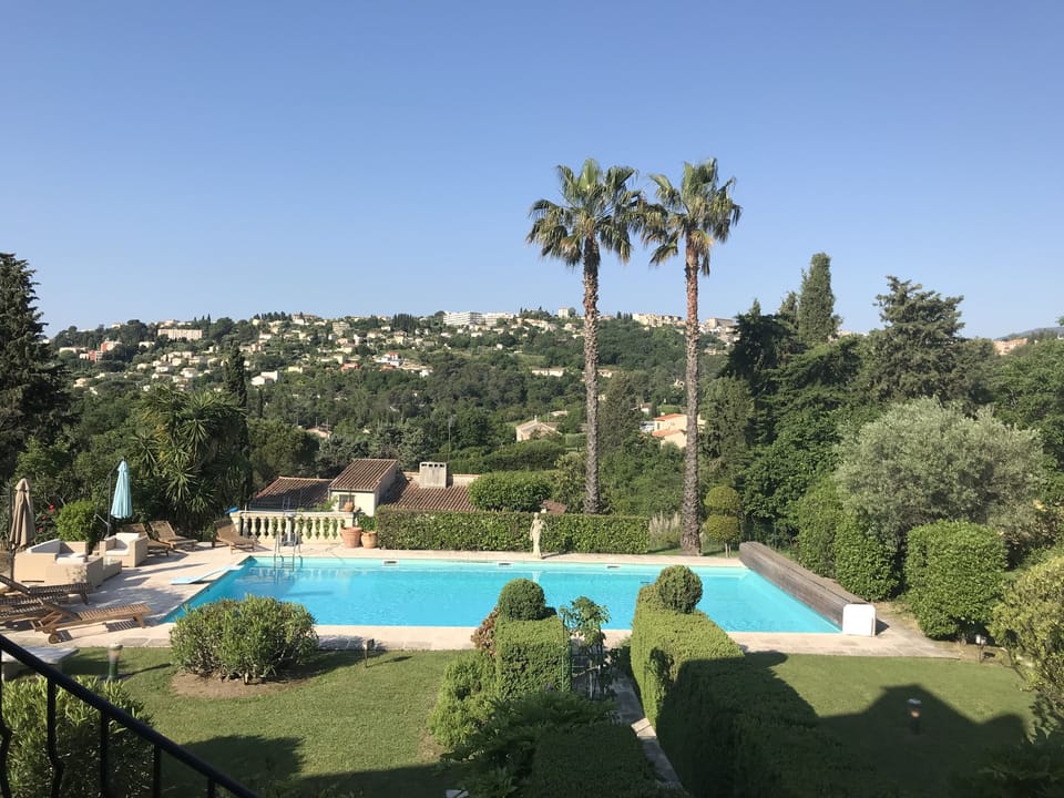Views of the garden 