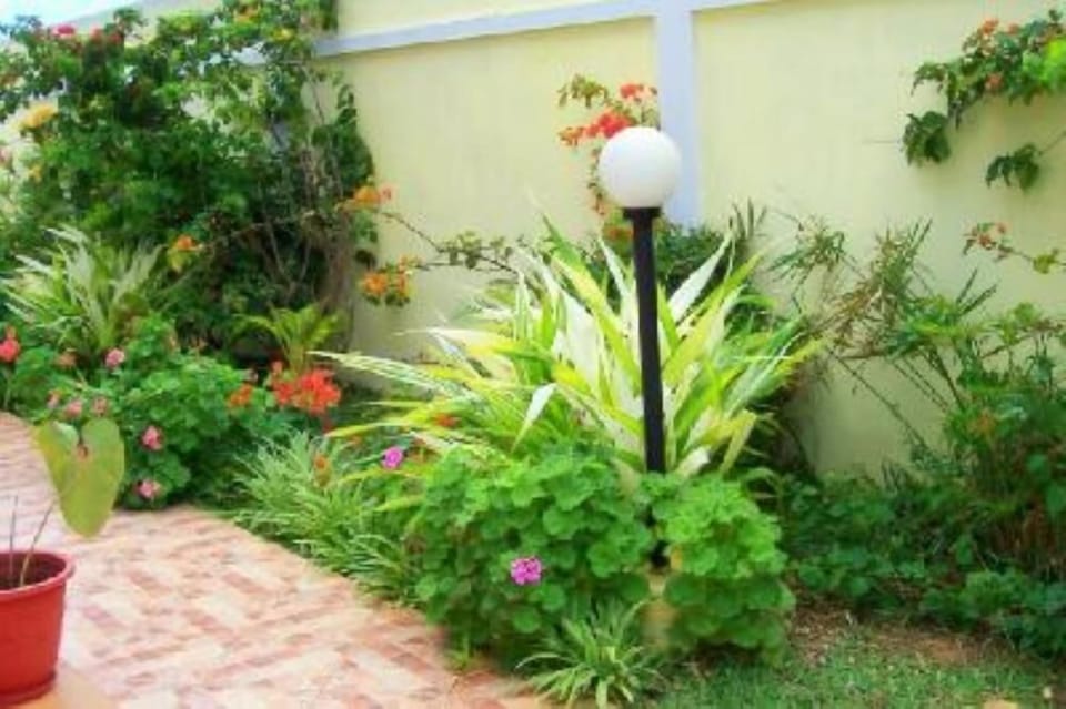 Garden, Park