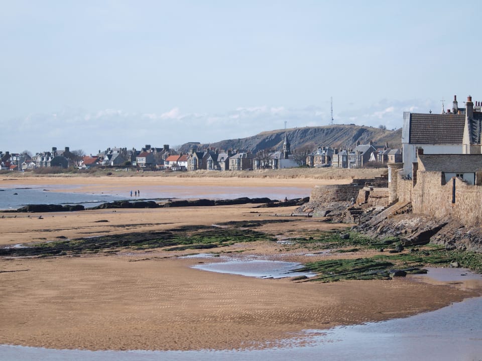 Elie