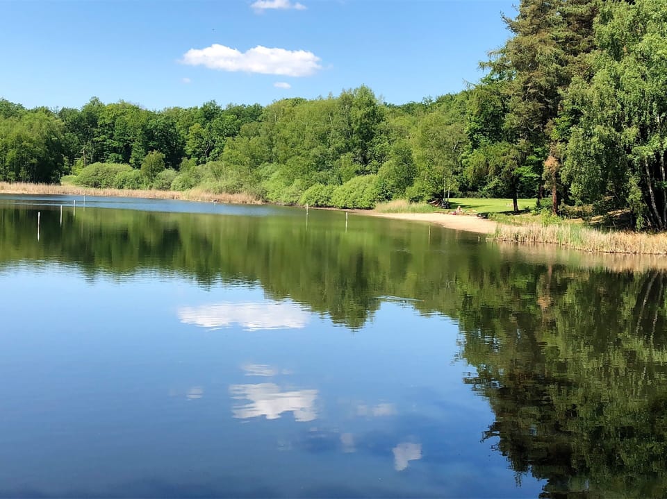 Lake