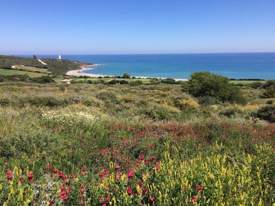 Beautiful surroundings