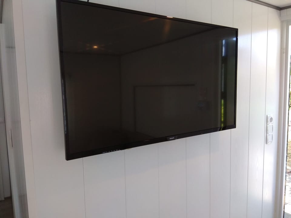 Television