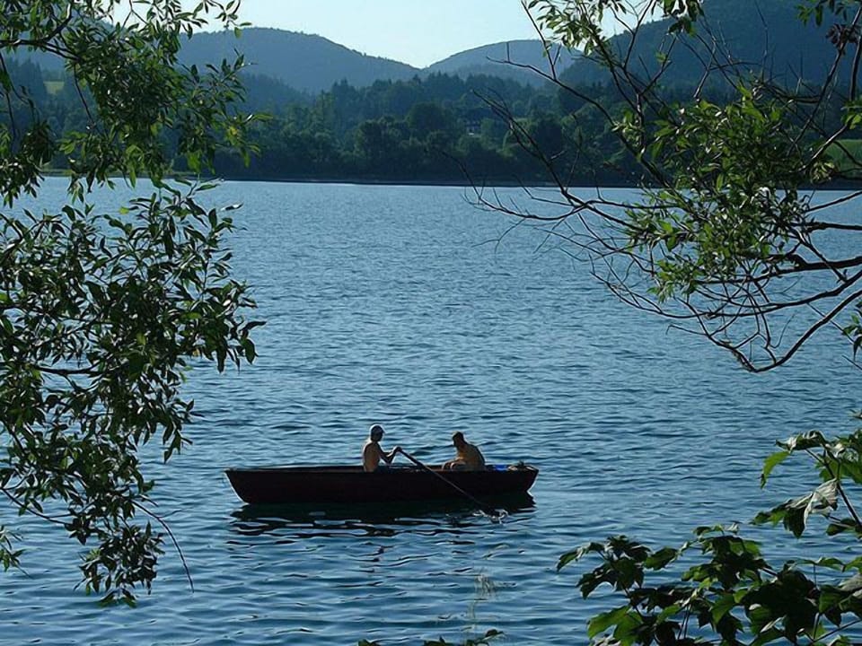 QUIET - RELAXATION - HARMONY - PURE NATURE Apartment in Salzburgerland