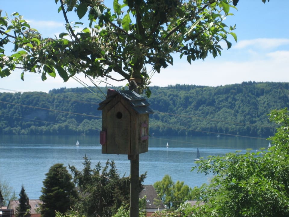 Villa Romantica with a fantastic view of the beautiful Lake Constance Apartment in Überlingen