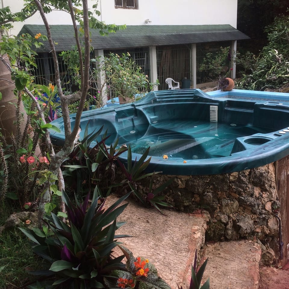 Outdoor spa tub