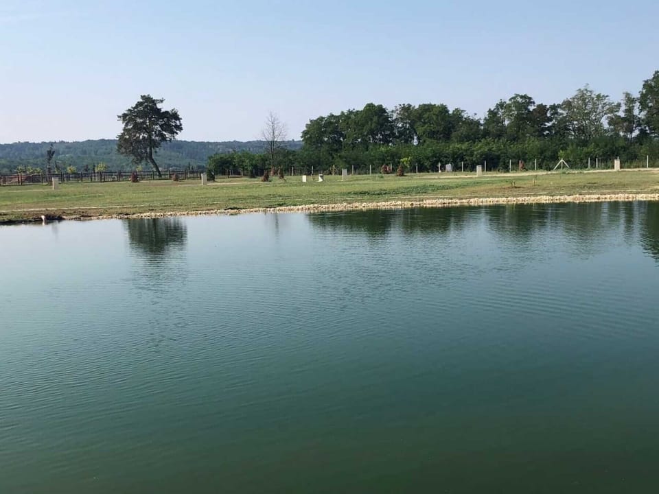 Lake