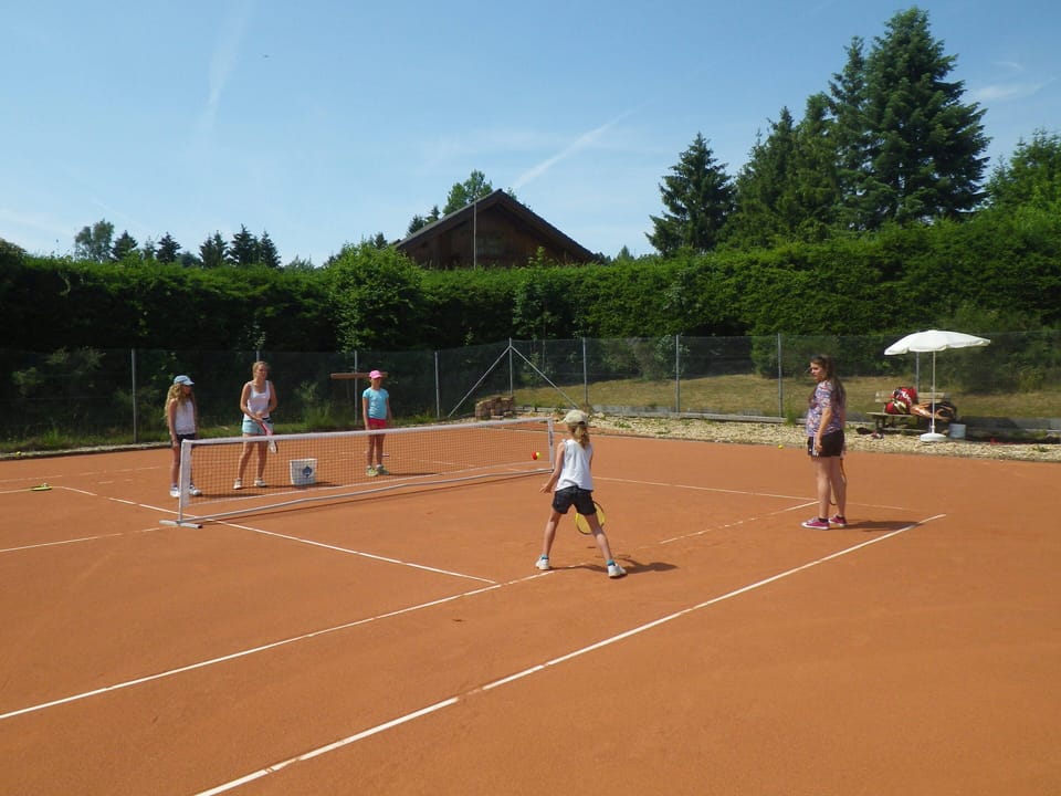 Sport court