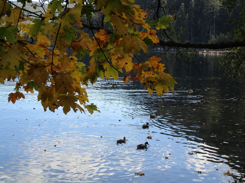 Lake