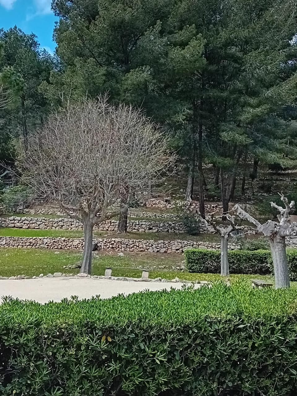 Property grounds