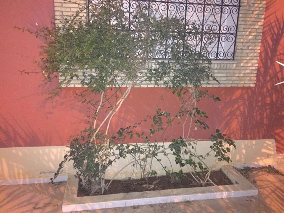 Property grounds