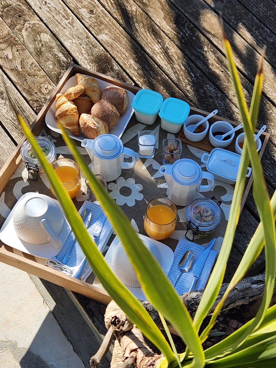 Breakfast meal