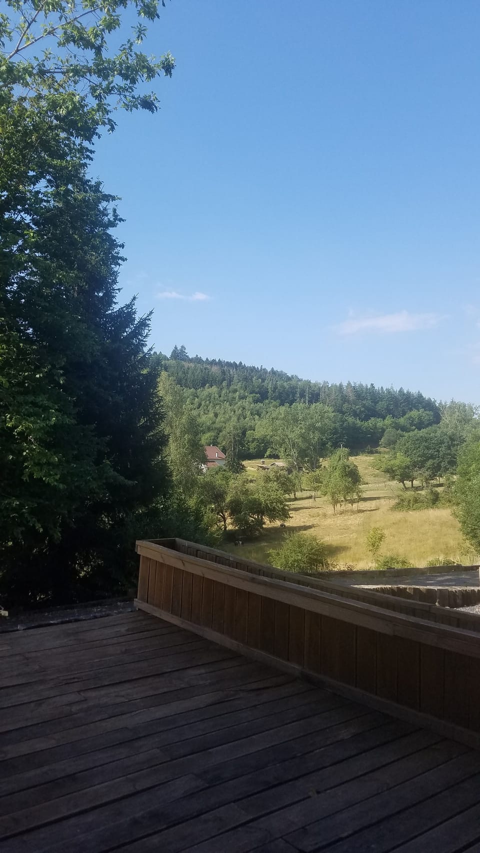View from property