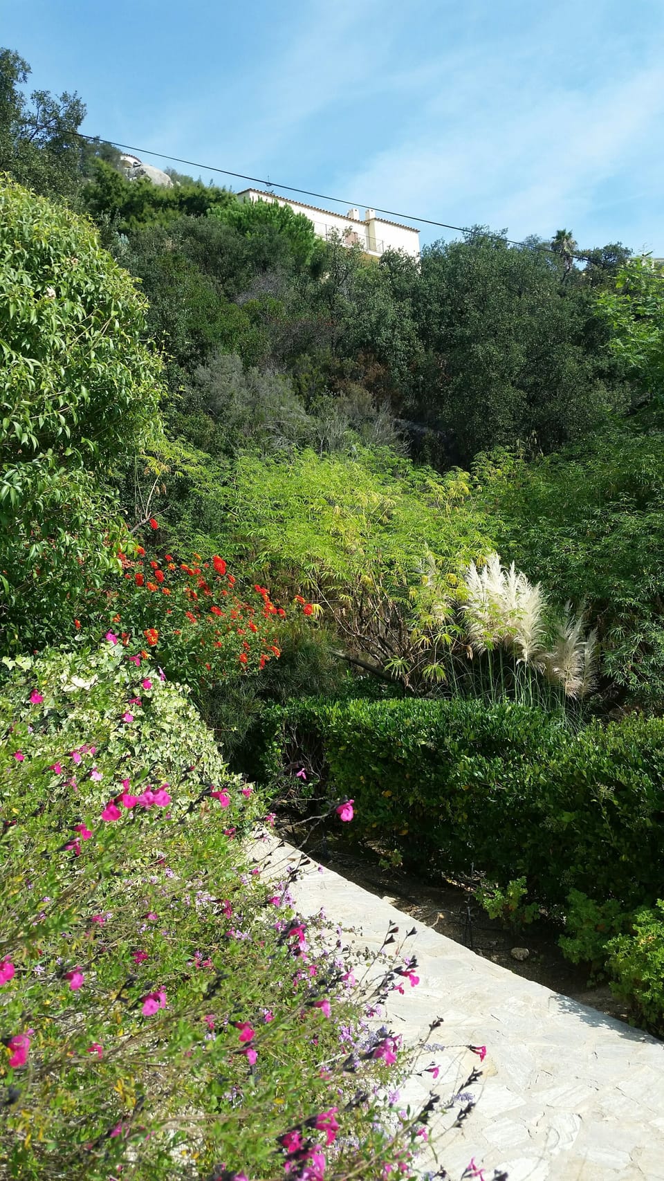 Property grounds