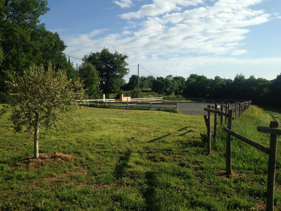 Sport court
