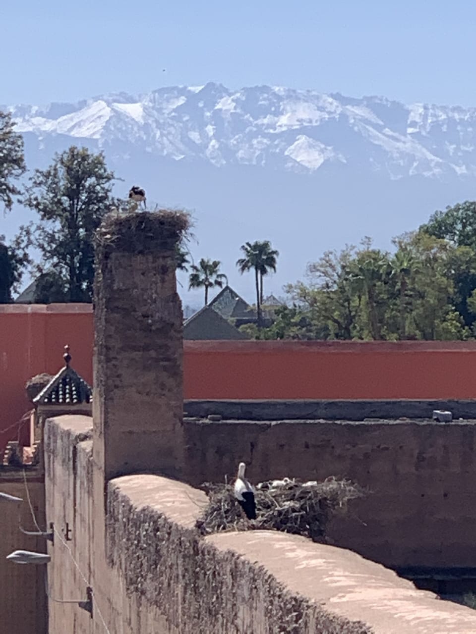 View from property