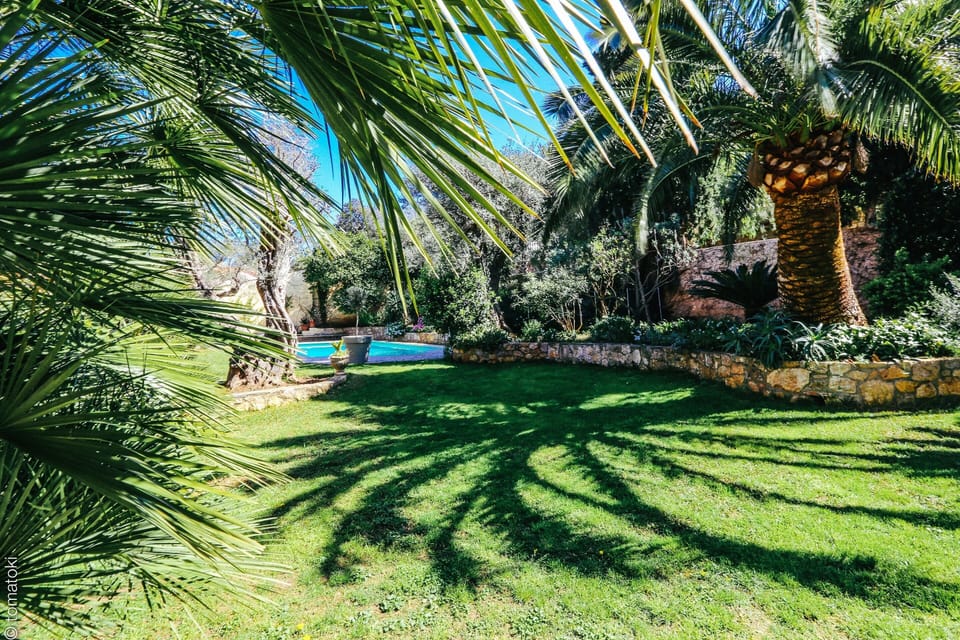 View of the pool from the garden