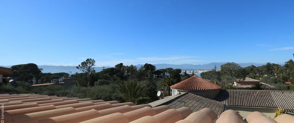 View from the office on the 2nd floor