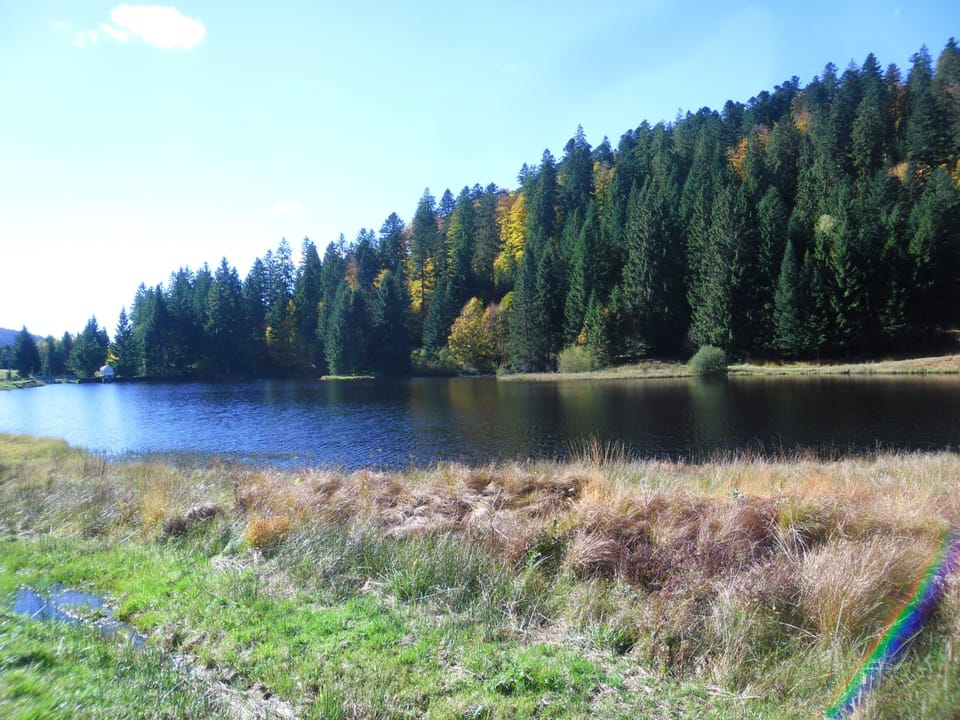 Lake