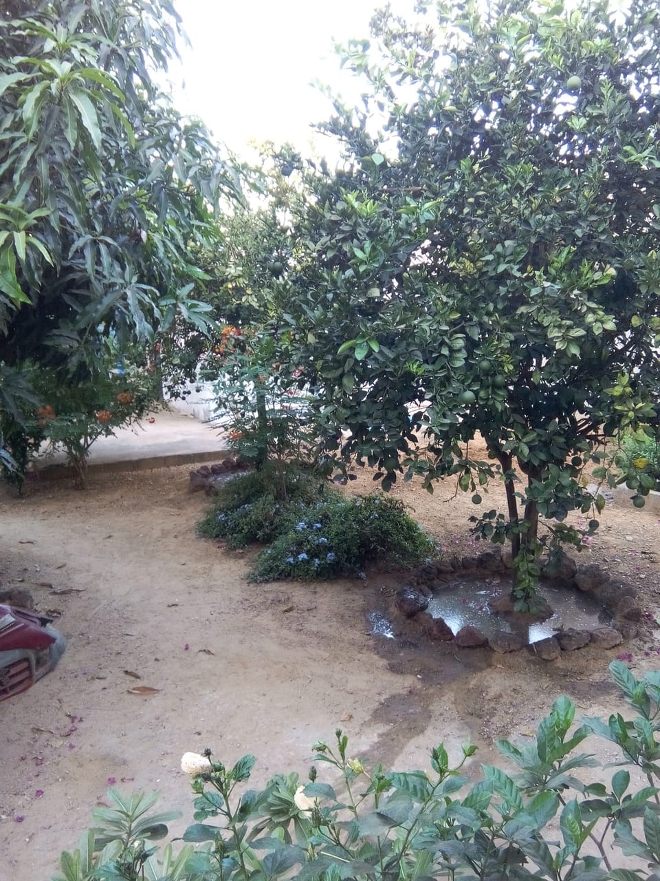 Property grounds
