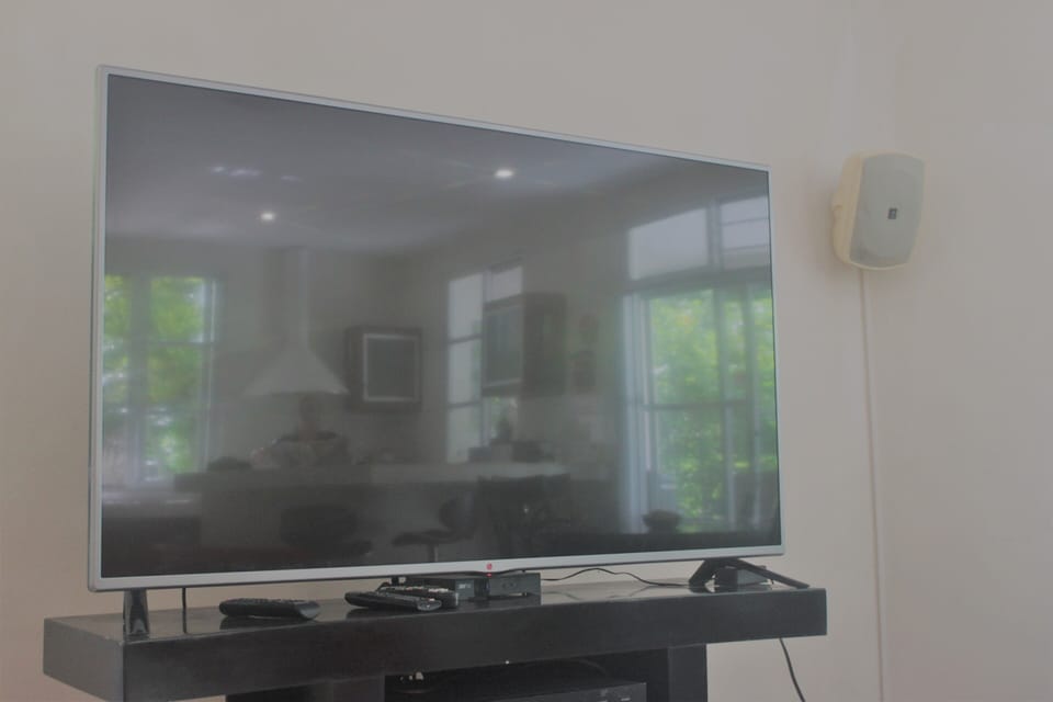 Television