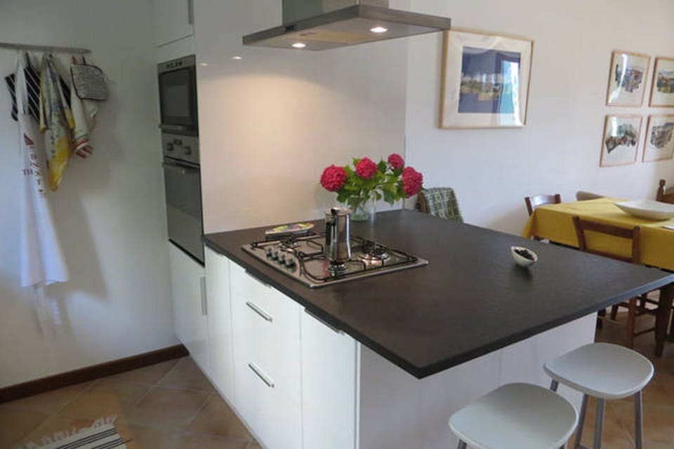 Microwave/Steamer, Electric oven, Gas Hob (Stove)