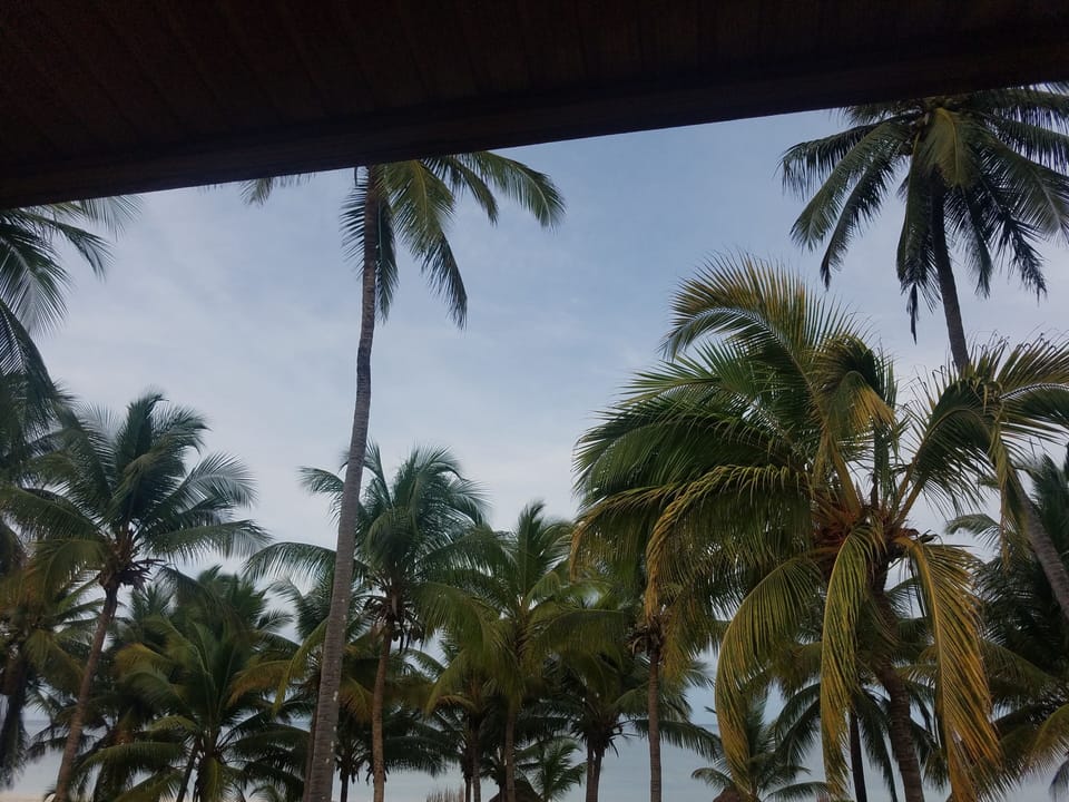 View from property