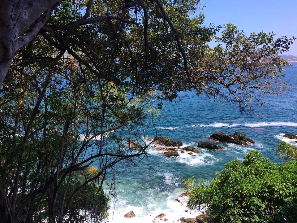 View as you walk to the pool