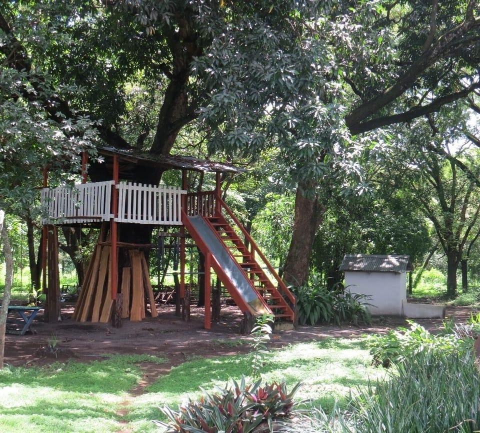 Children's area