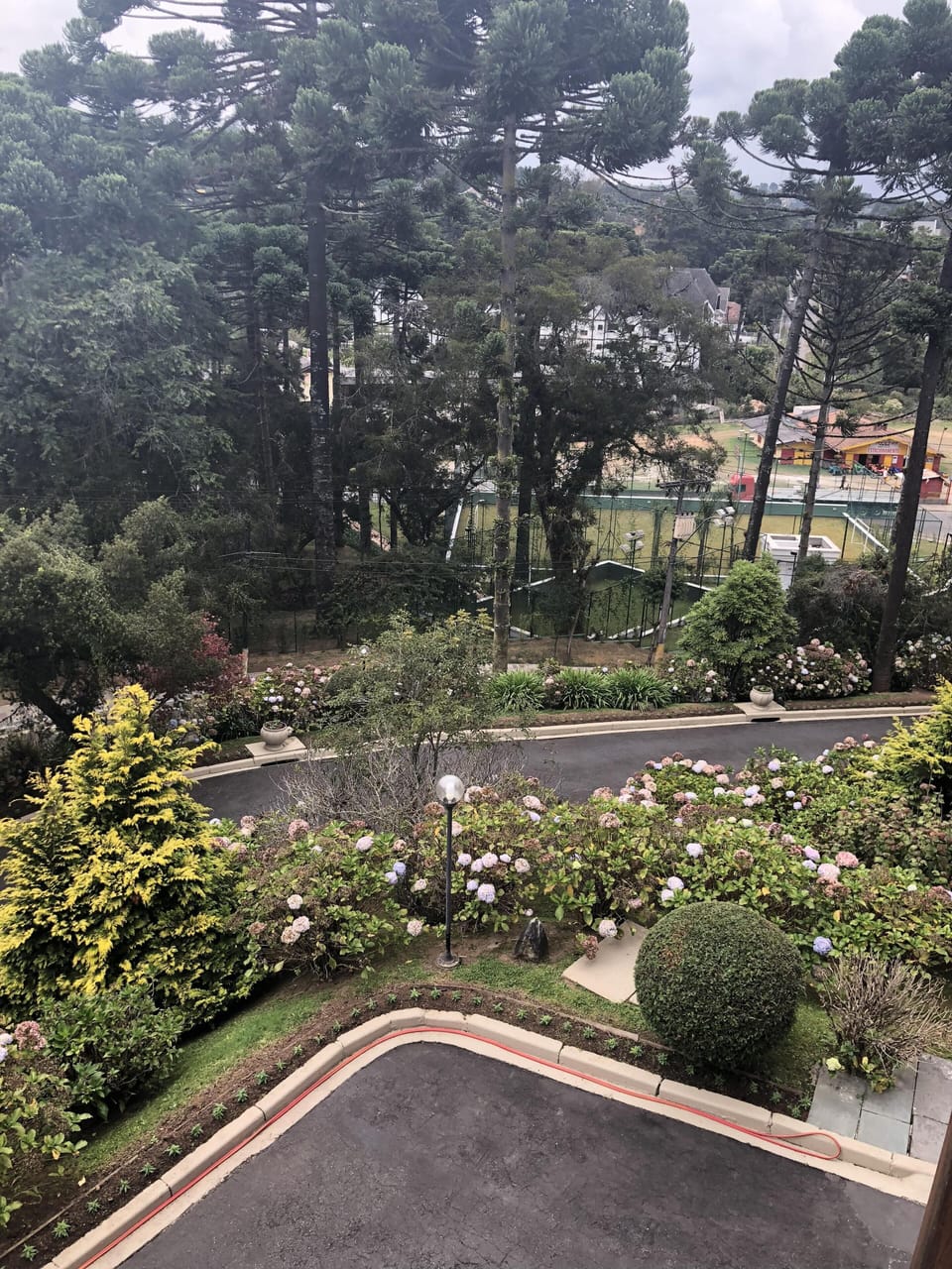 view from the living room