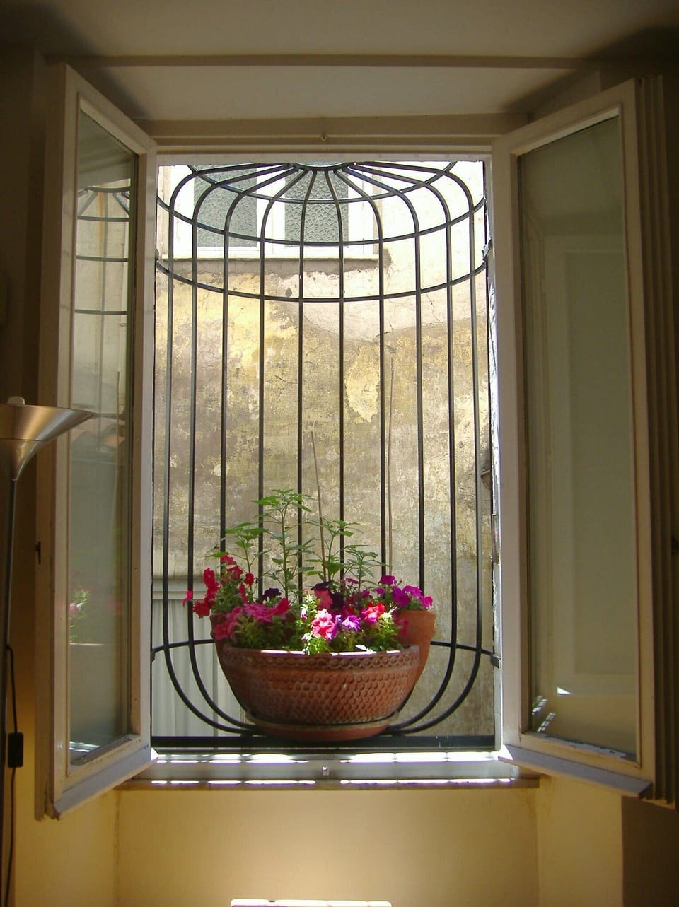 Your little garden on the backyard.