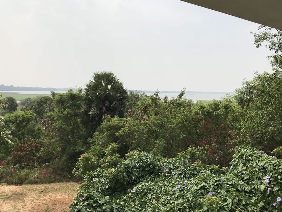 View from terrace