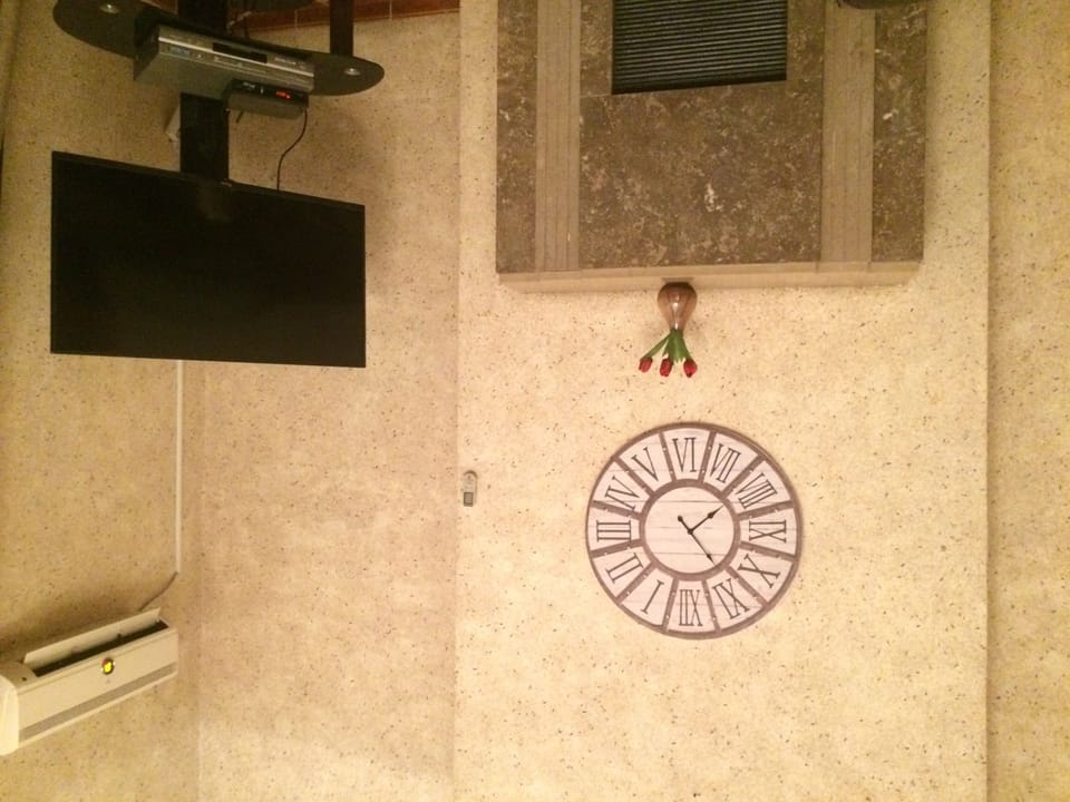 Television