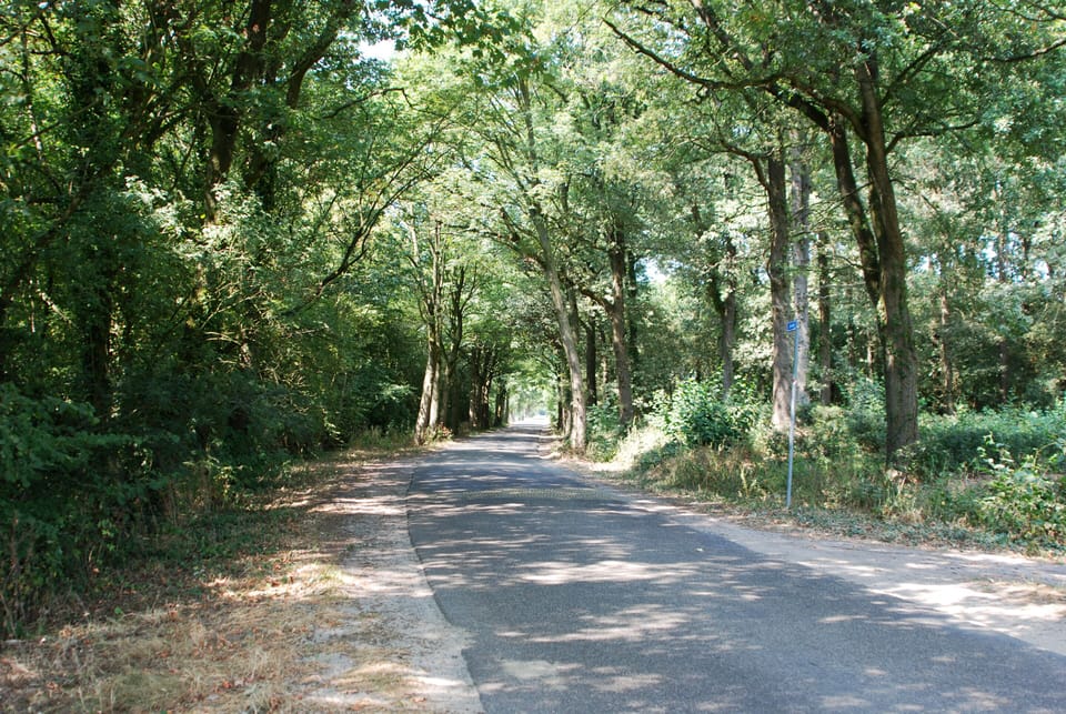 In the area