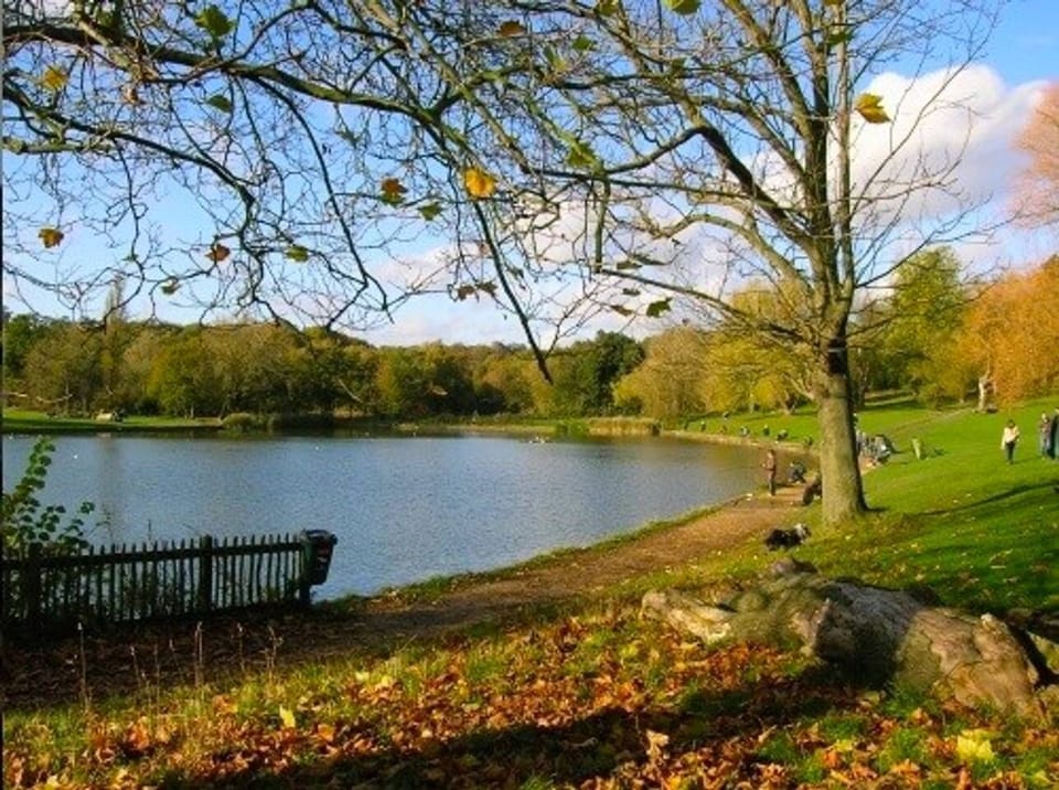 Hampstead Heath
