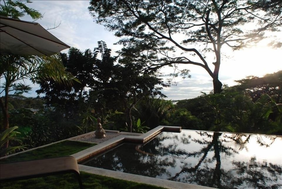 pool and terrace