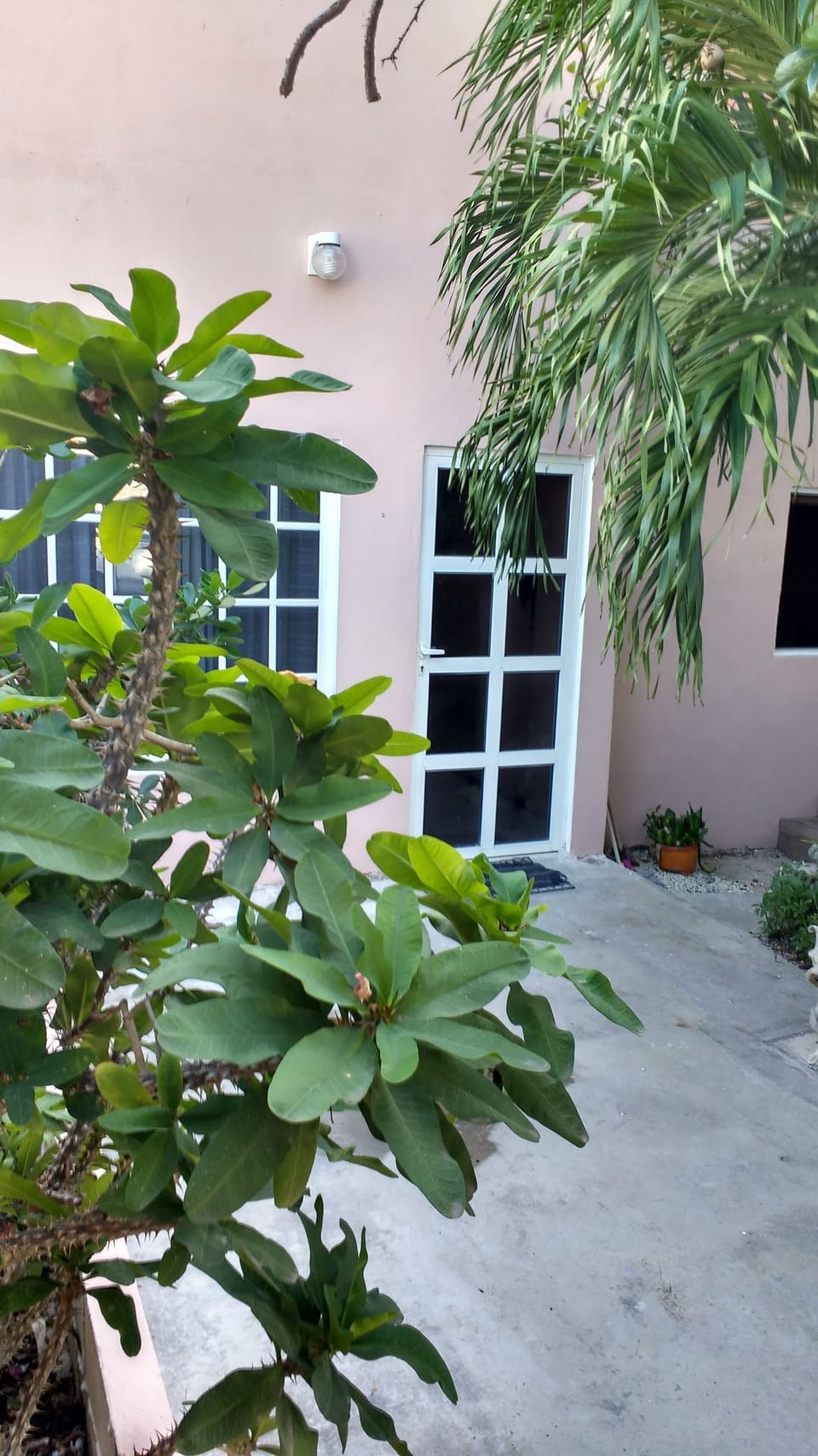 Exterior detail