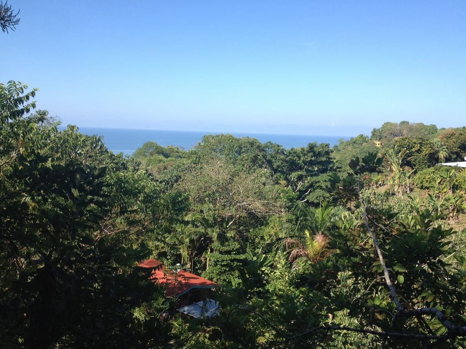 View from living room 